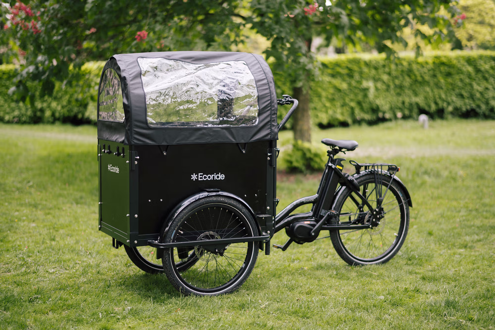 Ecoride Loader-401
